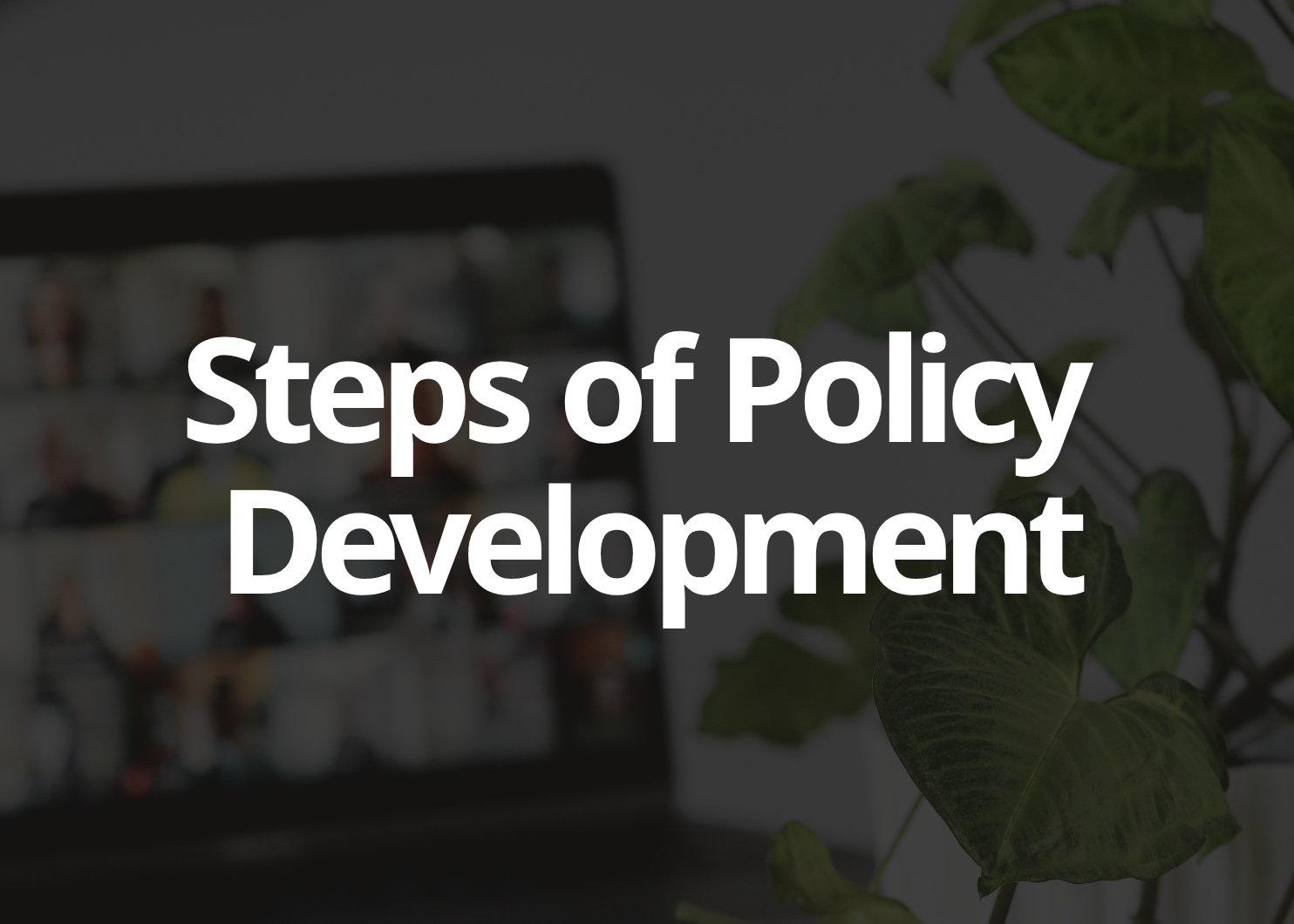 A dark-themed graphic with large white text reading 'Steps of Policy Development' over a blurred office scene with a laptop and green plant leaves.