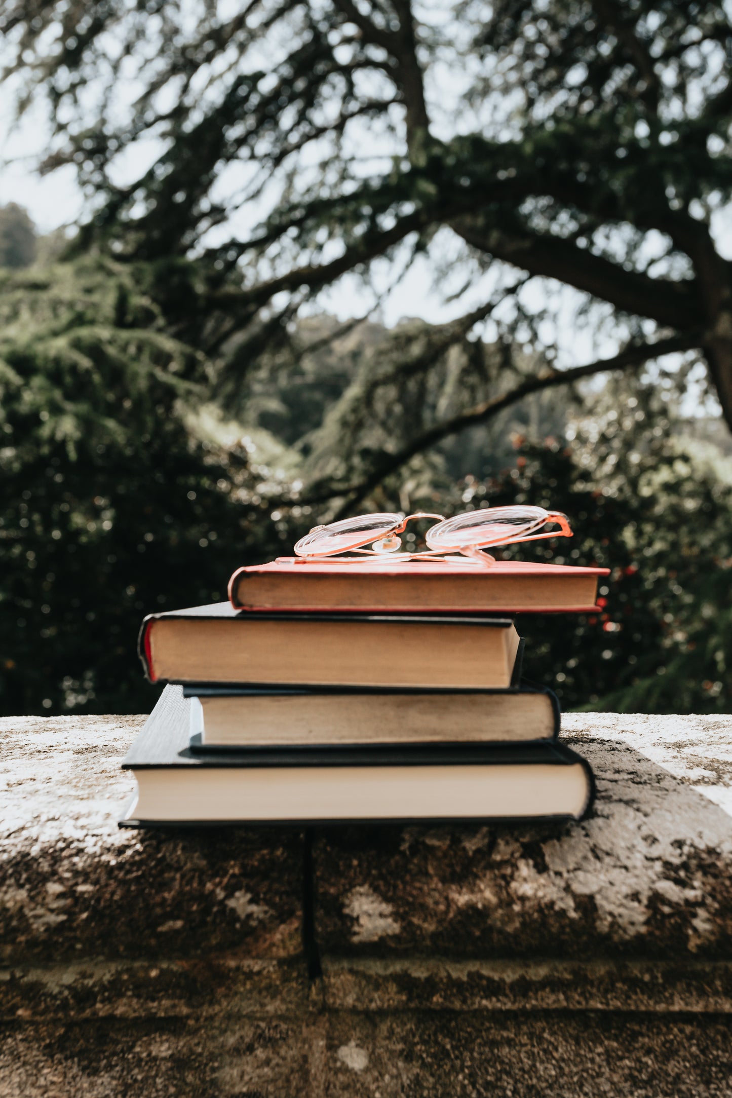 Policy Research Package